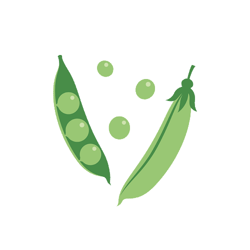 Seasonal fruits and veggies